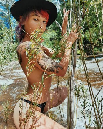 PixiePixelized Filtraciones Foto 1