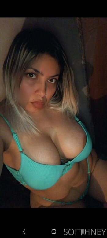 softhney Filtraciones Foto 11