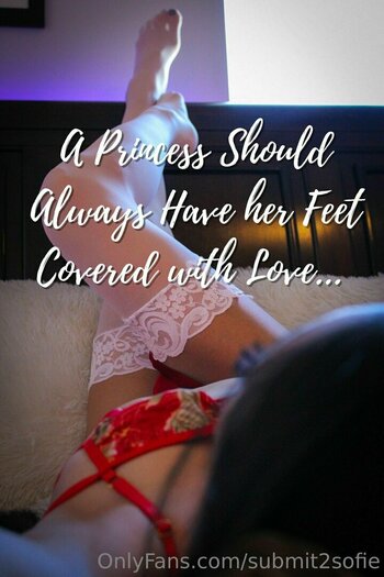 submit2sofie / slayerofliarsandscammers2.0 Filtraciones OnlyFans Foto 10