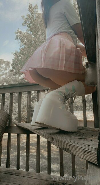 viinusflytrap Filtraciones Foto 4