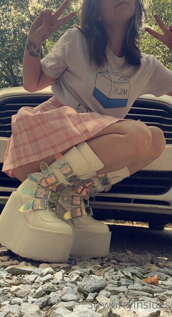 viinusflytrap Filtraciones Foto 8