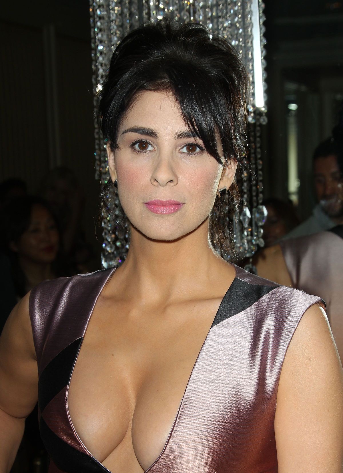 Sarah-Silverman-Cleavage-8