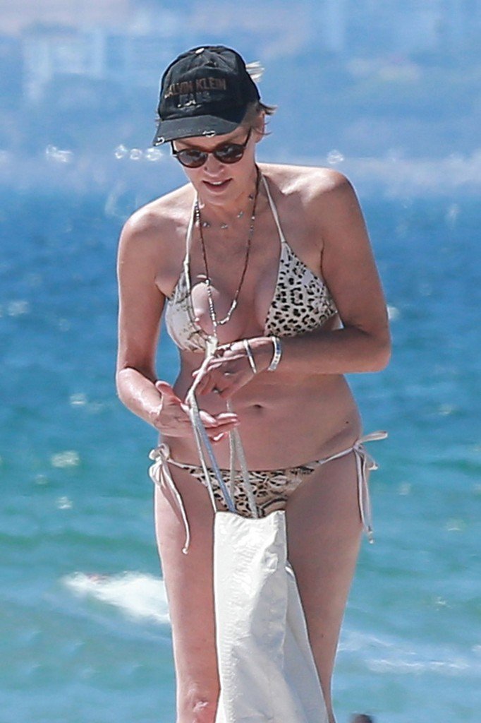 Deslizamiento de Pecho de Sharon Stone 10