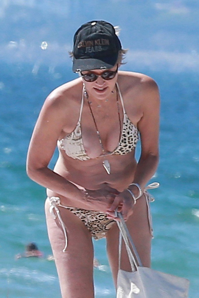 Deslizamiento de Pecho de Sharon Stone 8