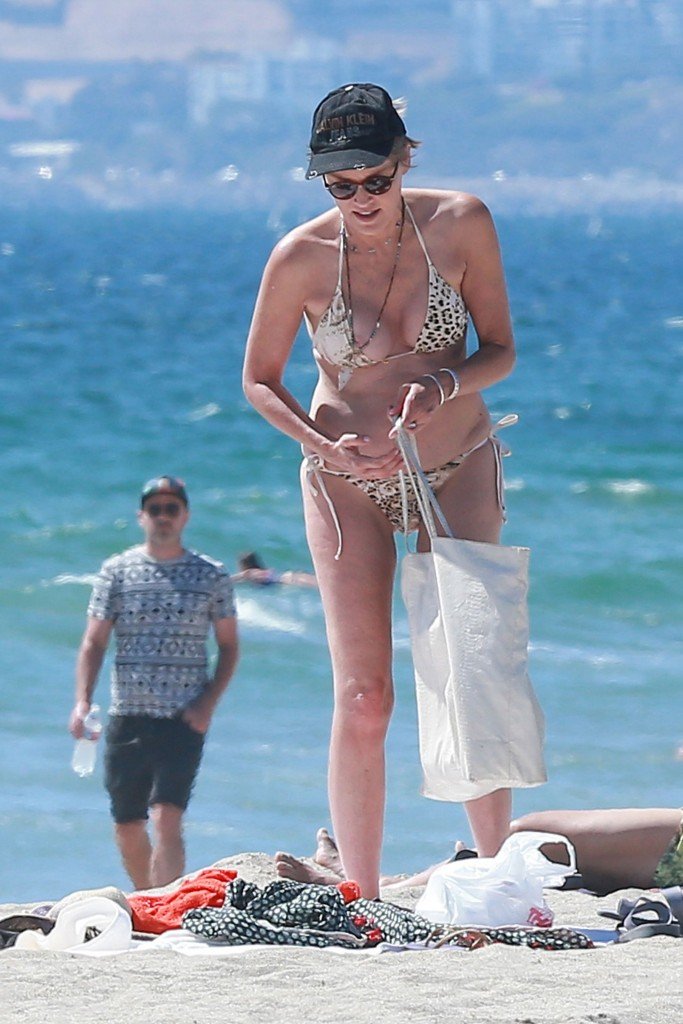 Deslizamiento de Pecho de Sharon Stone 9