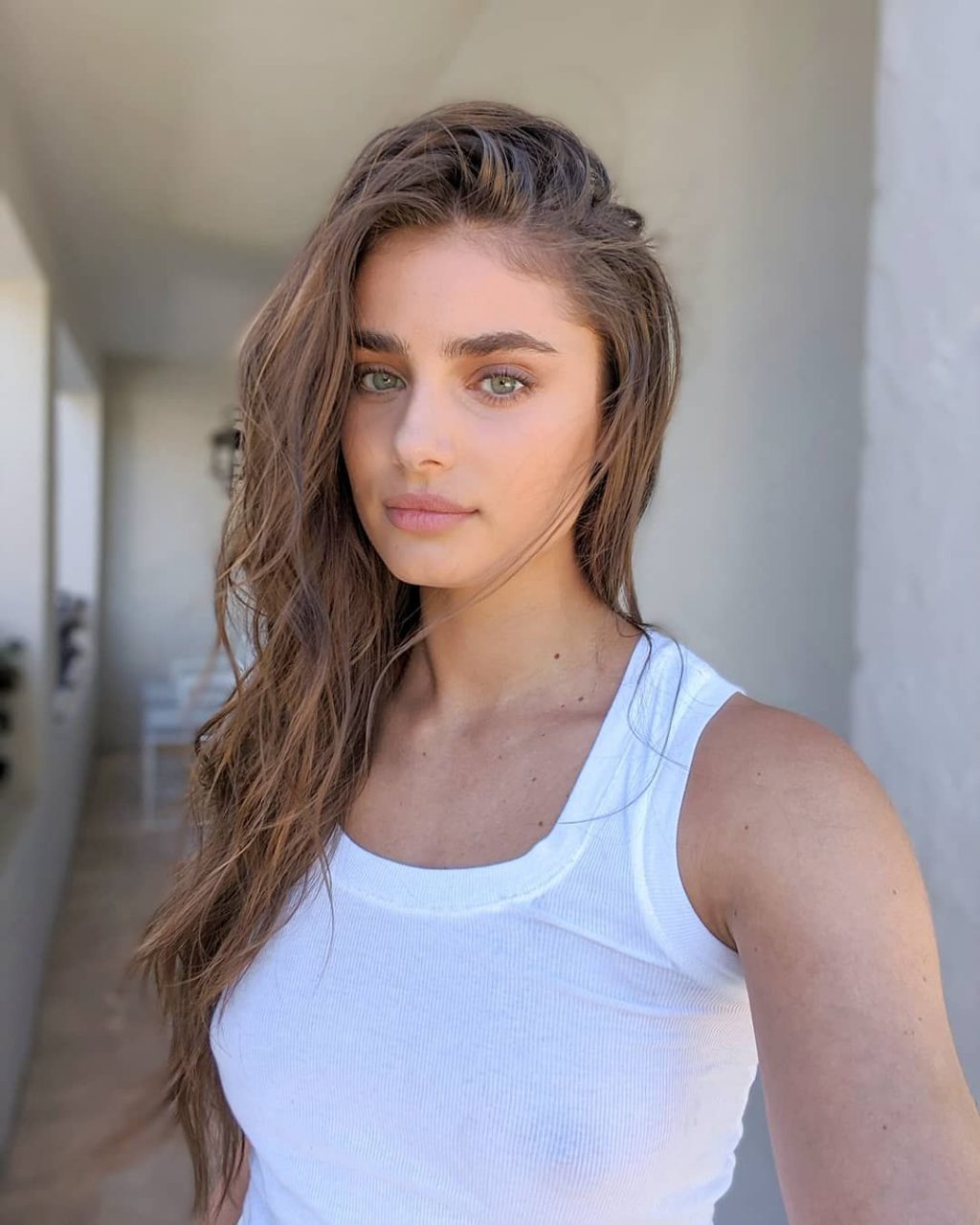 Taylor Marie Hill Transparente Desnuda