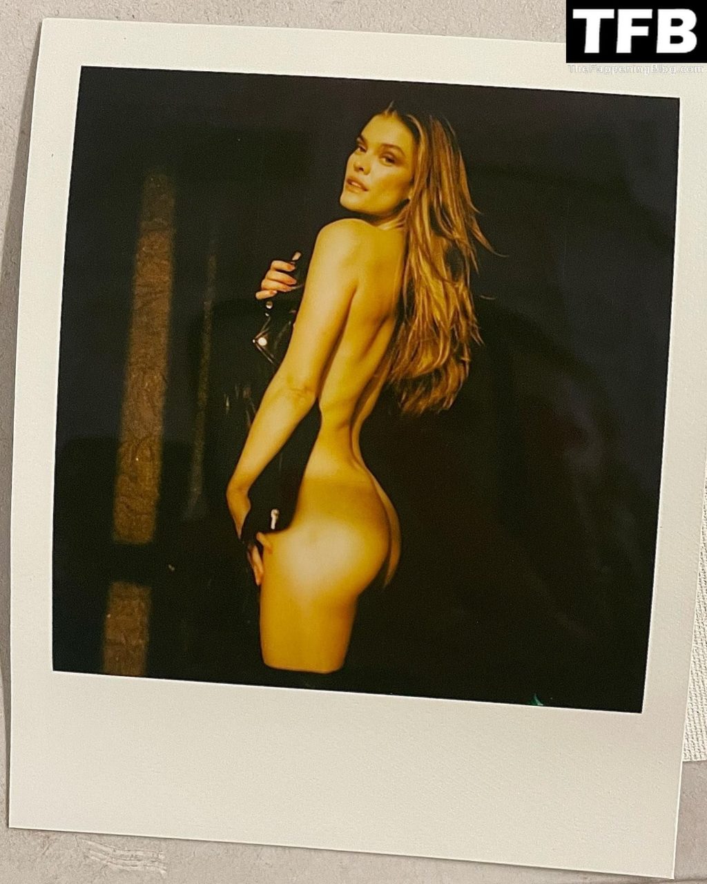 Nina Agdal Nude